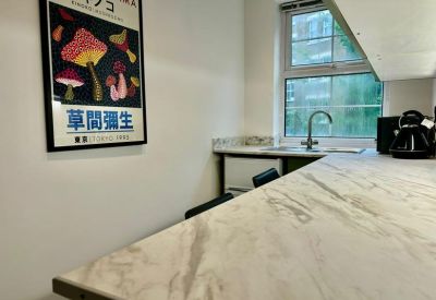 Close-up of a marble-effect kitchen counter with a sink and colorful mushroom art poster.