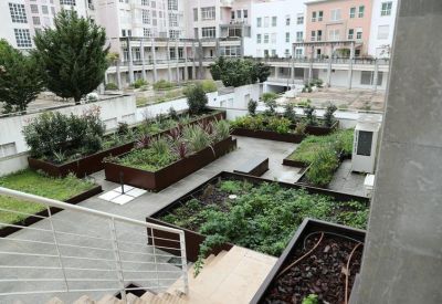 Lush rooftop garden with wooden planters and greenery overlooking surrounding city buildings.