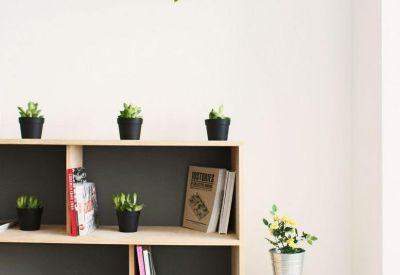 Minimalist wooden bookshelf decorated with small potted succulents and a hanging vine.