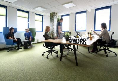 Modern open-plan office with individual workstations, large windows, and green flooring.