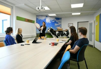 Team meeting around a large table featuring a playful cow statue and field mural.