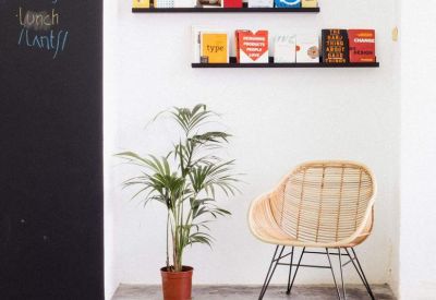 Bright break area with a wicker chair, potted palm, and shelves of colorful books.