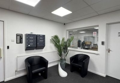 Reception waiting area featuring two black leather tub chairs and a tall indoor plant.