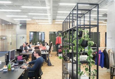 Coworking space featuring long desks, people working, and a black metal shelf with hanging plants.