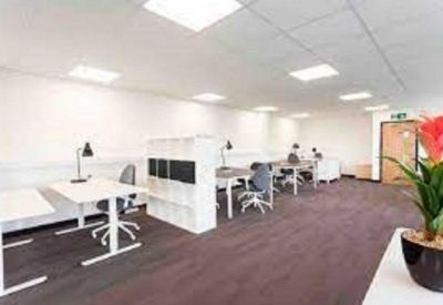 Modern open-plan office space with white desks, ergonomic chairs, and a vibrant potted plant.