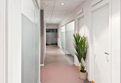 Bright office corridor with glass partitions and a potted plant.
