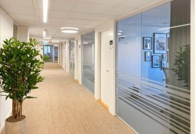 Bright office corridor with tan carpeting, potted plant, and glass-walled meeting rooms.