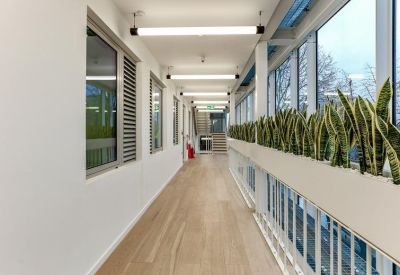 Bright hallway with floor-to-ceiling windows, wooden floors, and potted plants.