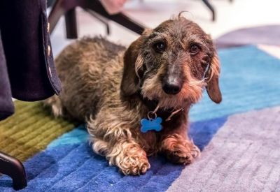 Office suite in Manchester