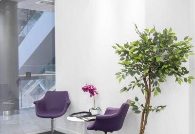 Waiting area featuring two purple modern armchairs, a side table, and a large indoor plant.