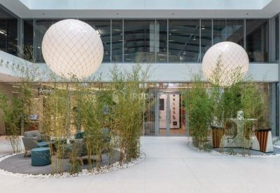 Lobby area featuring indoor bamboo plants and large white spherical light fixtures.