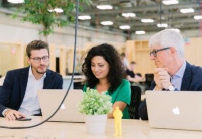Modern office workspace with three colleagues collaborating around laptops and a small plant.
