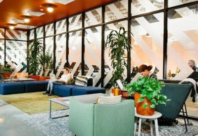 Bright coworking area with blue modular seating and tall indoor plants.