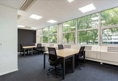 Bright shared office space with two desks and large windows overlooking trees.