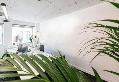 Bright open-plan office space with white desks and a large indoor palm plant.