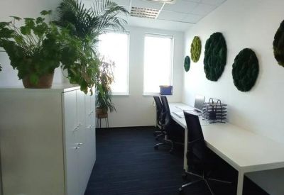 Bright workspace featuring long white desks and circular green moss wall art.