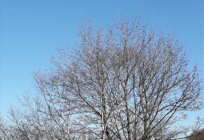 Grantham office suite