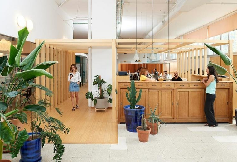 Spacious wooden reception area with indoor plants and warm lighting at 124, Carrer d'Àvila,1B - THE IMAGENIERS.