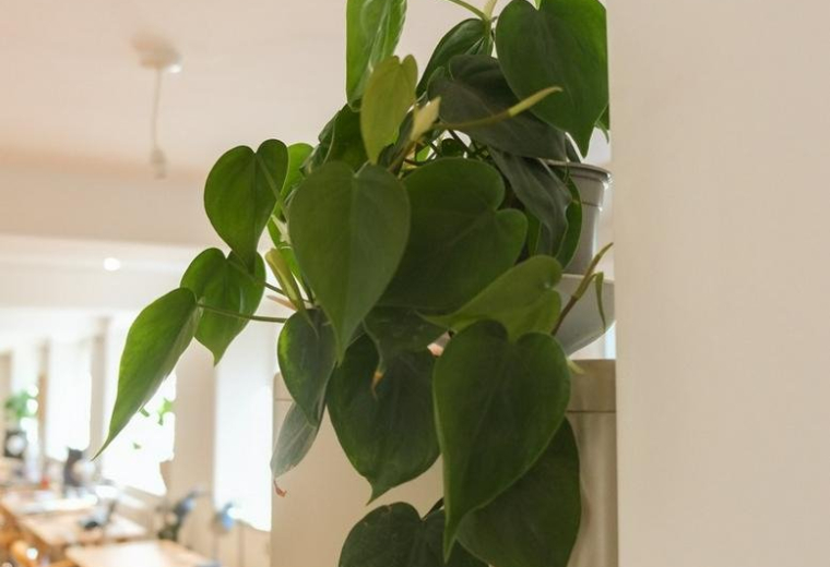 Serviced offices in central Shepton Mallet