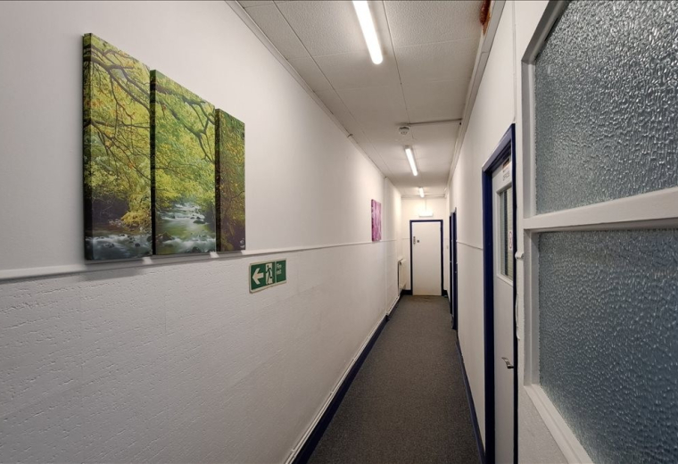 Brightly lit hallway at 1 Bradfield Road featuring nature-themed wall art and clean white walls.