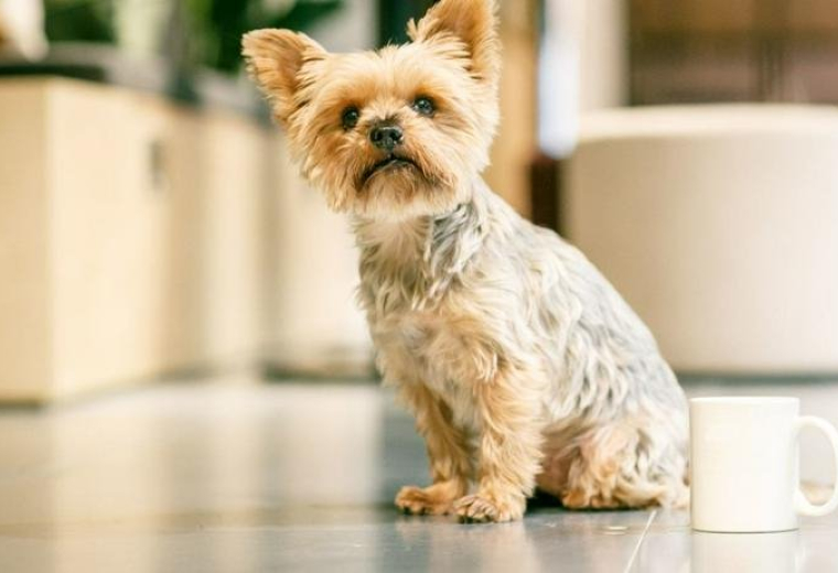 17 Heneage Street, Huguenot Place