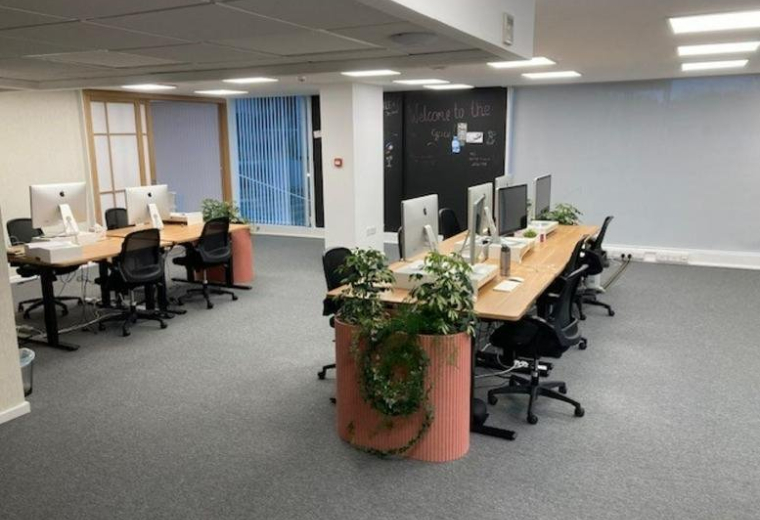 Bright office area with wooden desks, potted plants, and multiple computer monitors.