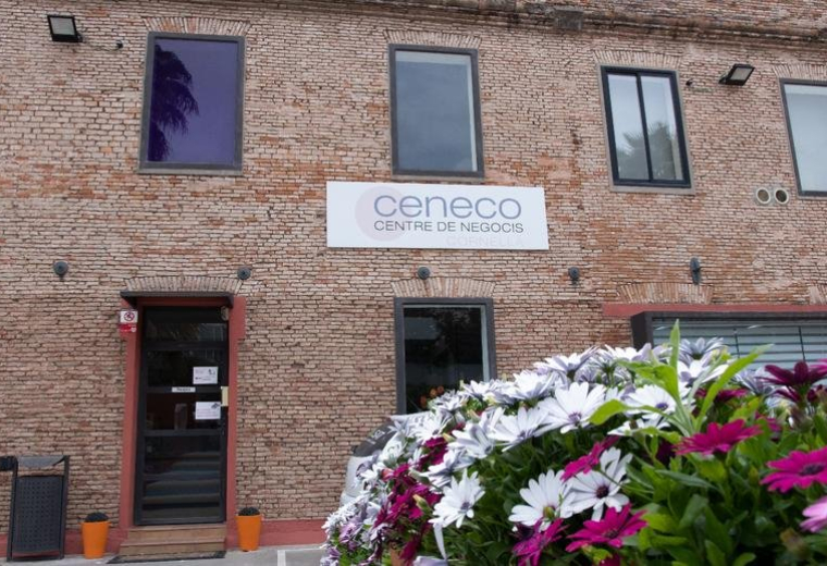 Avinguda dels Alps 48