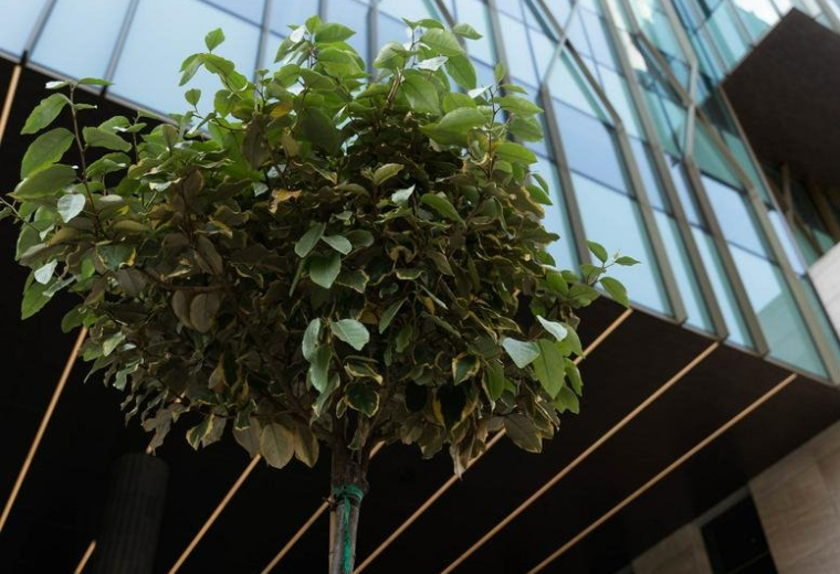 Bem József Utca 1/B, Budapest