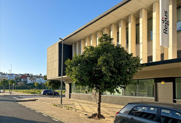 Calle Almutamid 6, Edificio Vega 1, Seville