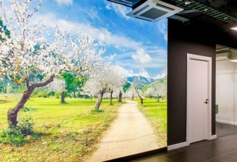 Carrer del Fluvià, 1, Bajos