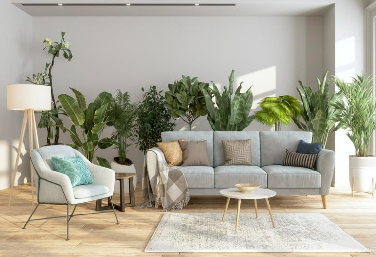 Spacious lounge area with a grey sofa, armchair, and numerous potted plants.