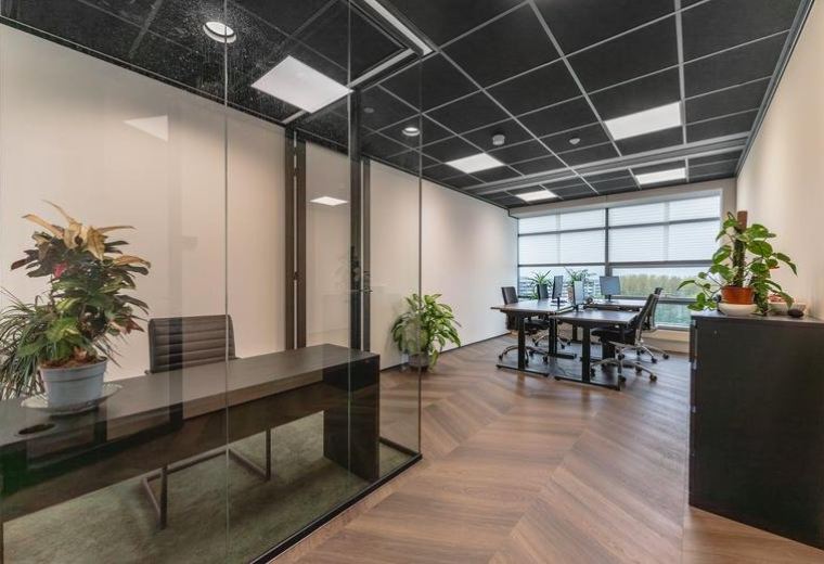 Executive office in Amsterdam