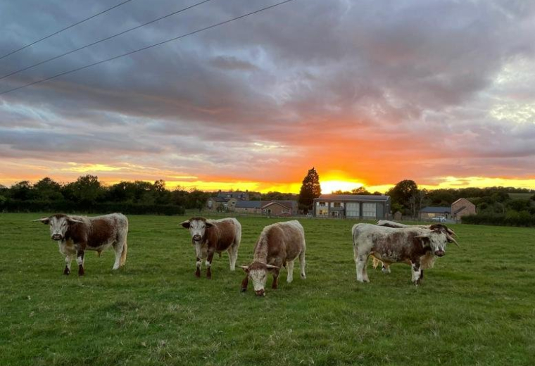 Offices at Westend Office Suites, Near junction 13 of M5