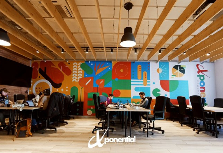 16 Bulevardul 21 Decembrie 1989, Cluj Napoca, Romania