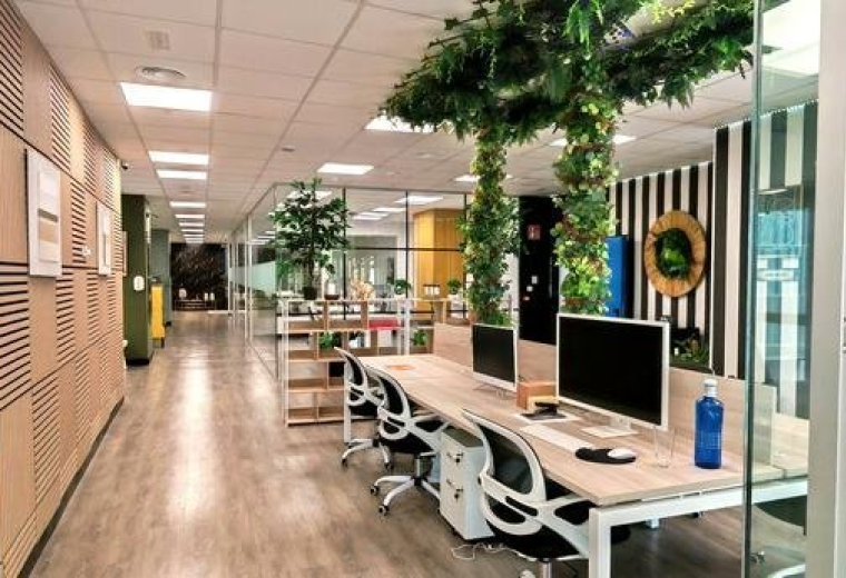 Spacious open-plan workspace at 2, Calle de Tomás Redondo with hanging greenery and wooden floors.