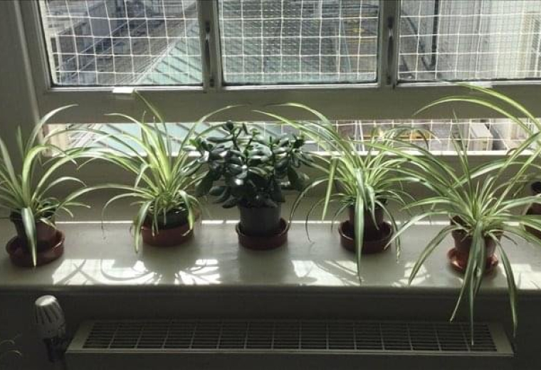 328 Linen Hall, Regent Street, Central London, UK