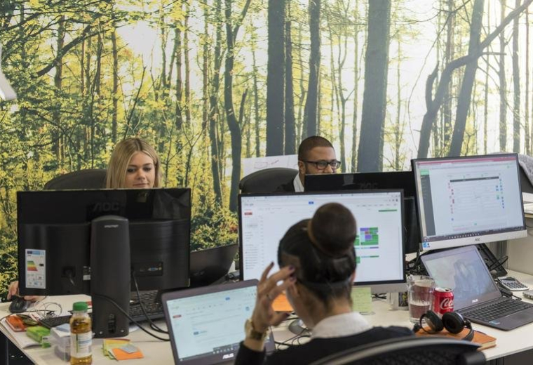 Open-plan workspace at 5th Floor, 43 Whitfield Street with forest mural and multiple computer monitors.