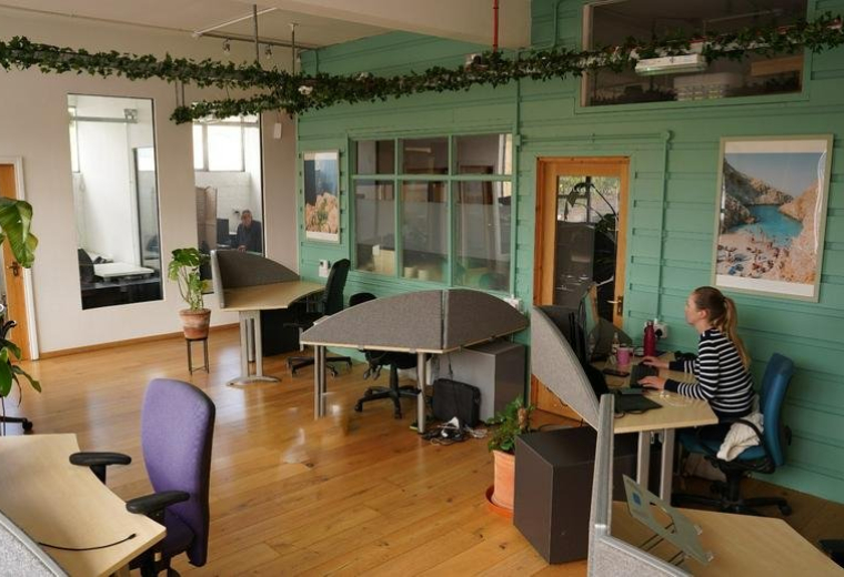 Spacious communal office area at 465A Unit 6 Hornsey Road with green walls, wooden floors, and hanging vines.