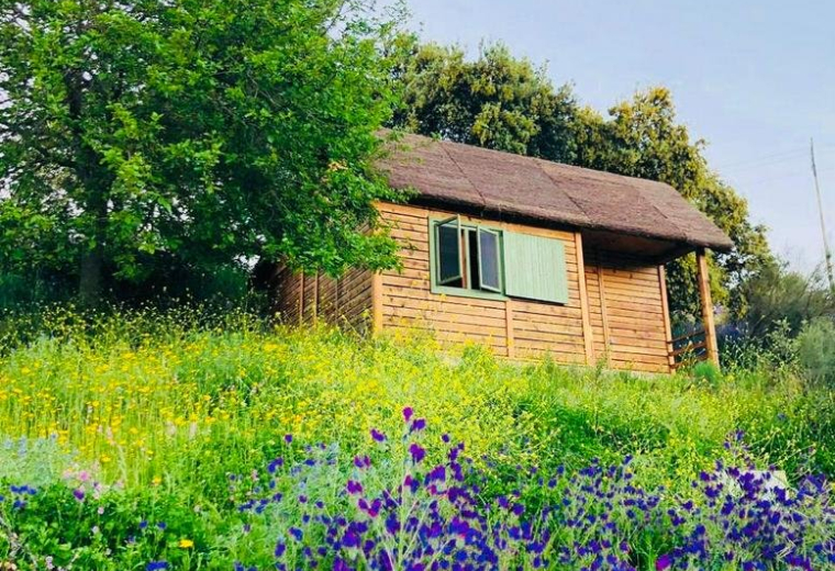 Hamlet’s Friends, Calle Cruz de Hierro s/n, Nuño Gómez, Spain