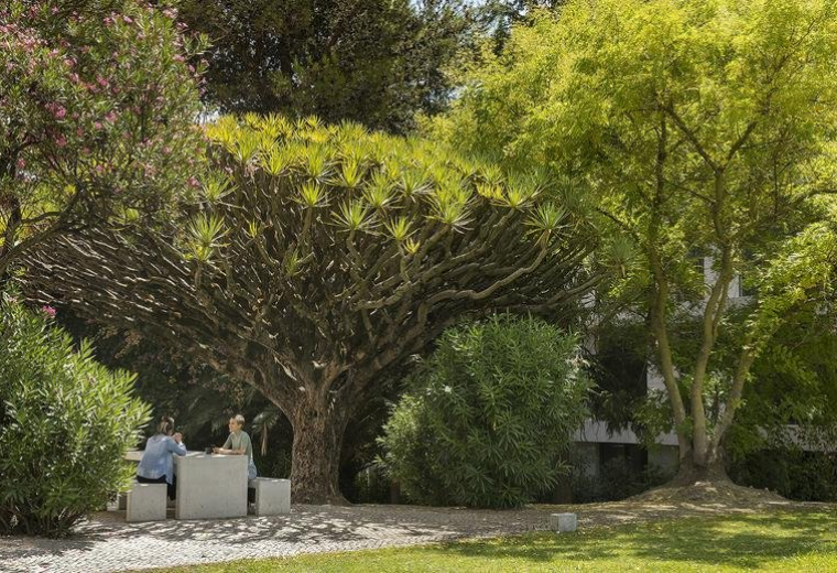 Serviced offices to lease in Lisbon