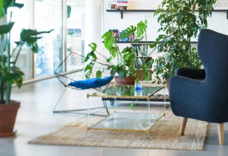 TNW Spaces, Singel 542, Canal District, City Centre, Amsterdam