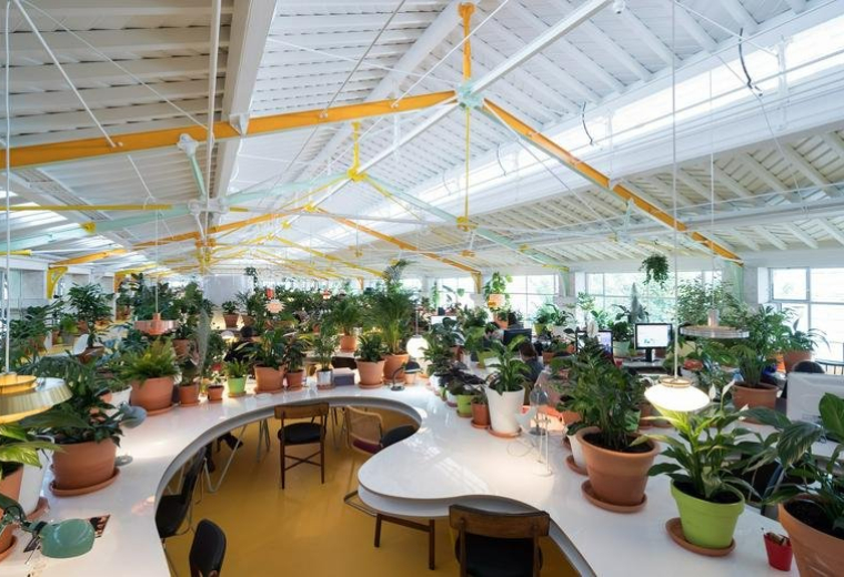 Serviced office - Lisbon