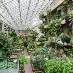 /images/uploads/profiles/__alt/Barbican-Conservatory.jpg