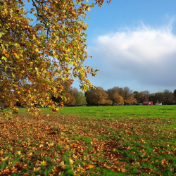 /images/uploads/profiles/__alt/Ealing-Park.jpg