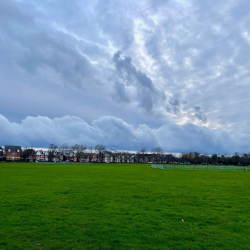 /images/uploads/profiles/__alt/Wandsworth-Common.jpg