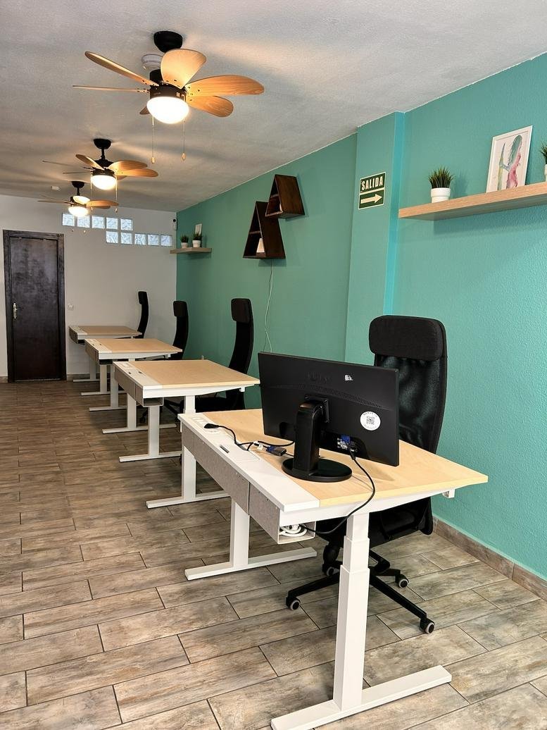 Open-plan workspace at Nexus 38 Multispace featuring standing desks and teal accent walls.