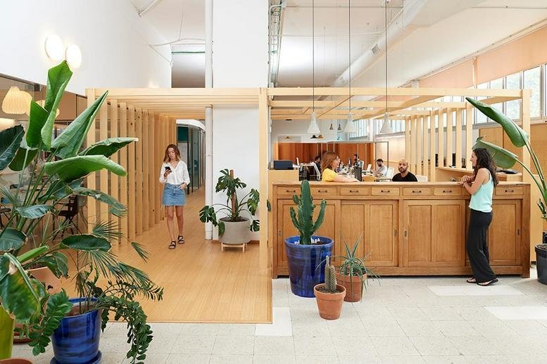 Spacious wooden reception area with indoor plants and warm lighting at 124, Carrer d'Àvila,1B - THE IMAGENIERS.
