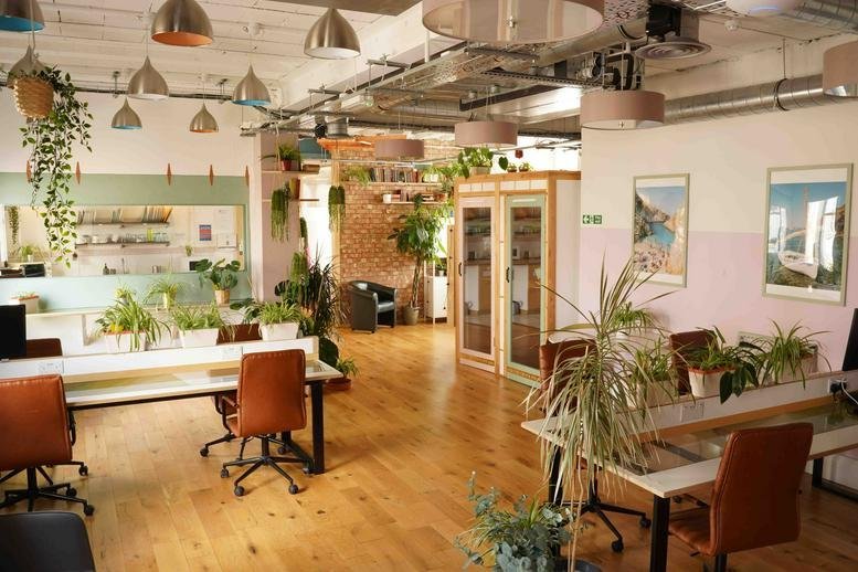 Spacious open-plan workspace at 14, Windermere Road with wooden floors, indoor plants, and natural light.