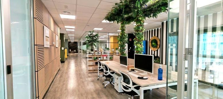 Spacious open-plan workspace at 2, Calle de Tomás Redondo with hanging greenery and wooden floors.