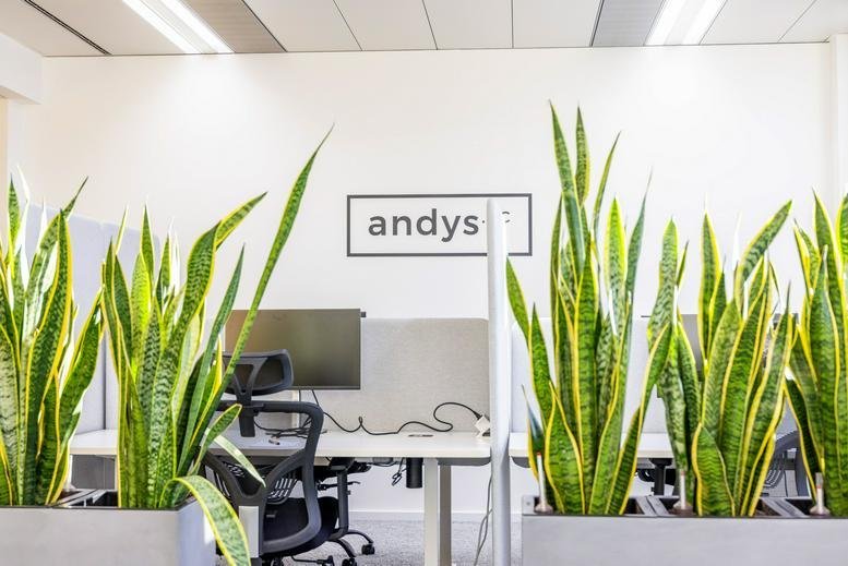 Workspace with snake plants and branding at 24, Neubaugasse,.